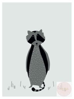 Mr.Raccoon Plakat